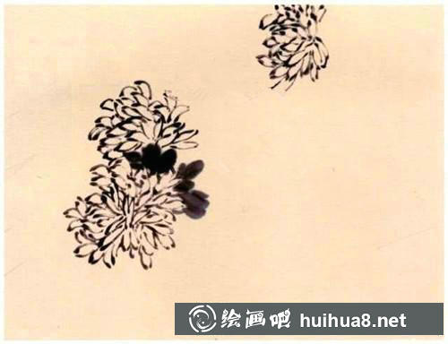 國畫菊花畫法步驟一