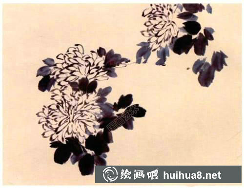 國畫菊花畫法步驟二