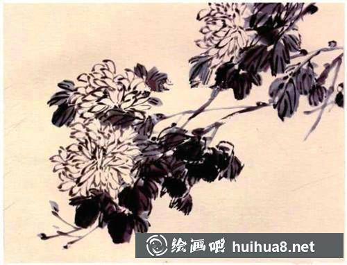 國畫菊花畫法步驟三