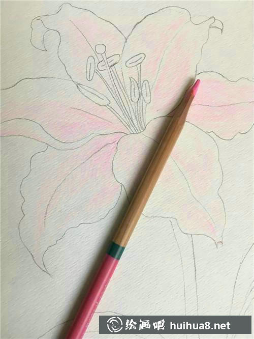 櫻花上色