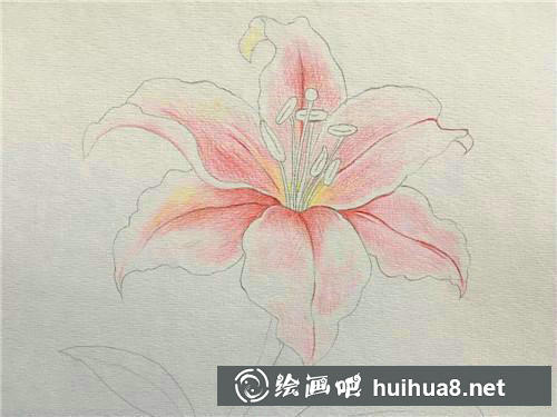 櫻花加深