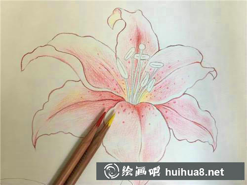 櫻花描邊
