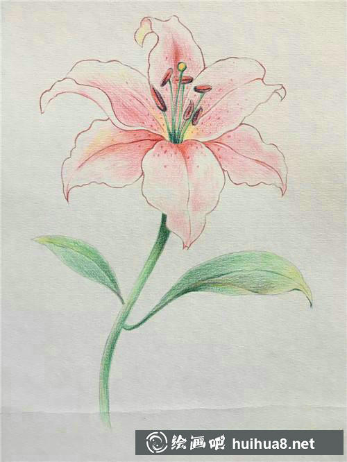 櫻花完成