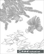 工筆金魚(yú)畫(huà)法技巧解析
