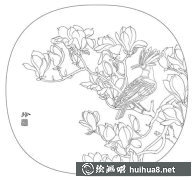 戴勝鳥(niǎo)工筆畫法探秘