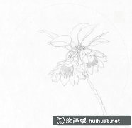 彩鉛繪吊鐘王教程