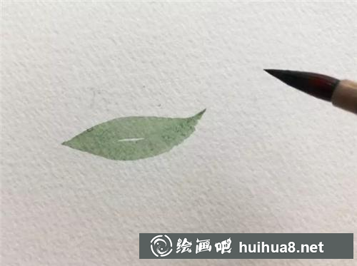 葉片繪制