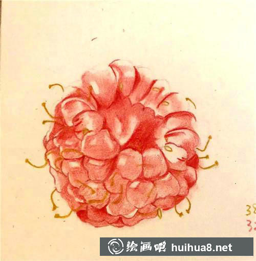樹莓彩鉛畫1