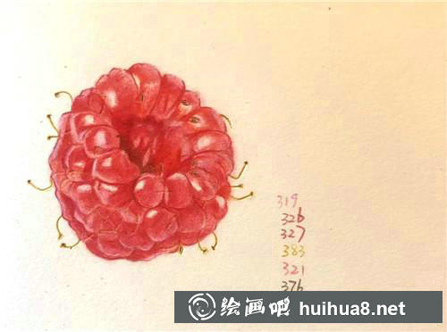 樹莓彩鉛畫3
