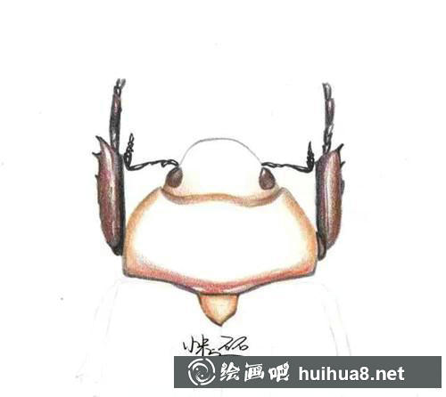 甲蟲上色