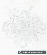 彩鉛菊花繪畫教程
