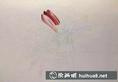彩鉛繪雛菊教程分享