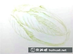 彩鉛白菜繪畫(huà)教學(xué)攻略
