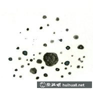留白液繪花藝術(shù)魅力