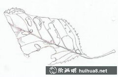 枯葉繪畫教程