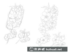 彩鉛繪櫻花教程