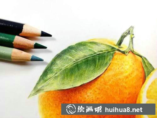 繪制葉片