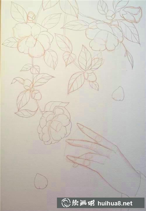 杜鵑花畫法步驟1