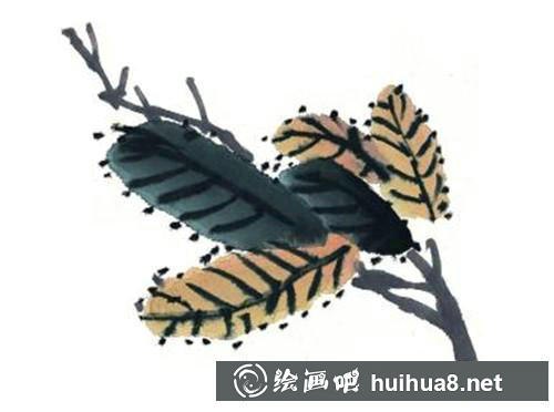 枇杷畫法六