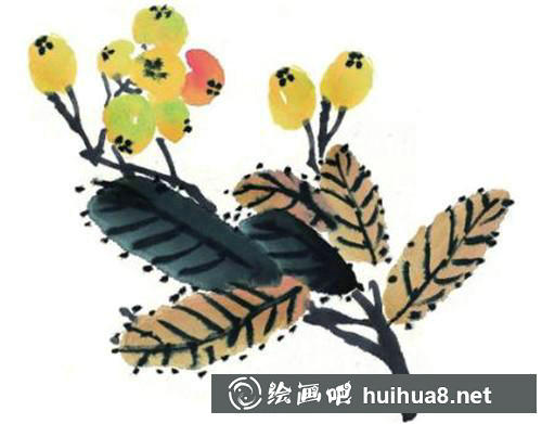 枇杷畫法七