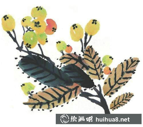枇杷畫法八