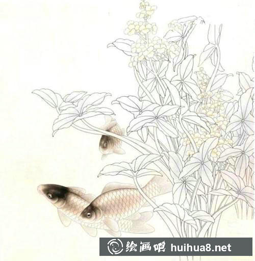 鯽魚工筆畫步驟二