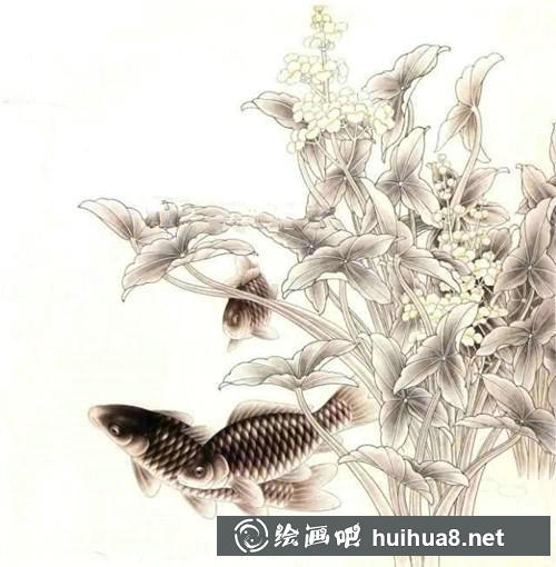 鯽魚工筆畫步驟三