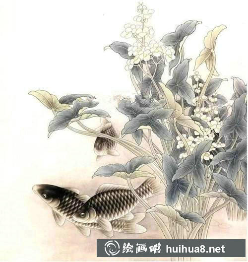 鯽魚工筆畫步驟四
