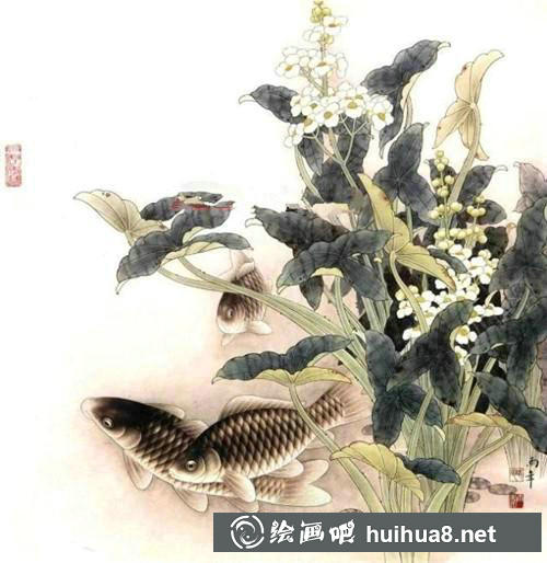鯽魚工筆畫步驟五