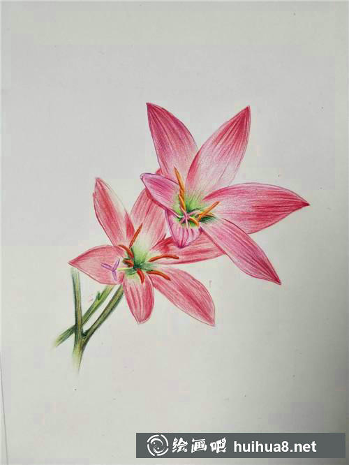 花心細(xì)節(jié)