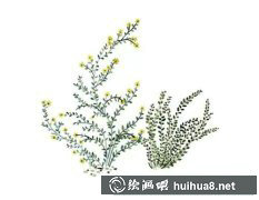 VikkiChu插畫溫柔毒
