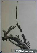 紅梅國(guó)畫(huà)技法詳細(xì)步驟