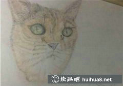 美術(shù)聯(lián)考奇葩試卷大圍觀