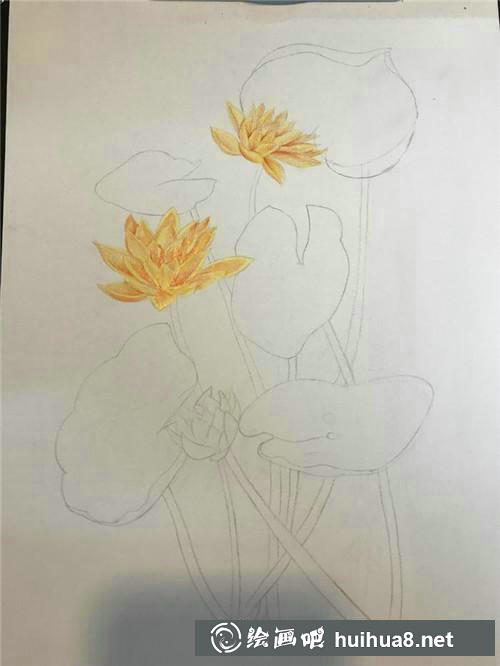 繪制花瓣