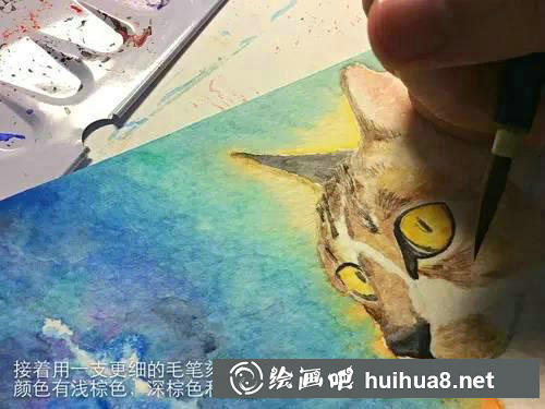 貓咪繪畫(huà)步驟3