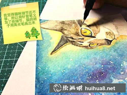 貓咪繪畫(huà)步驟7