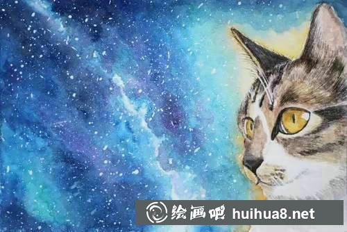 貓咪繪畫(huà)步驟8