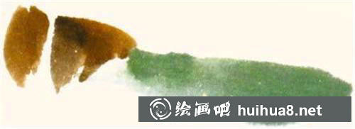 蝗蟲頭部胸部和后翅繪制步驟