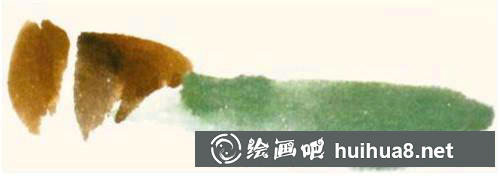 蝗蟲頭胸部和后翅色彩繪制步驟