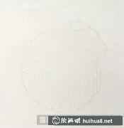 手繪彩鉛教程 貝殼畫法技巧