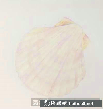 貝殼繪制步驟3