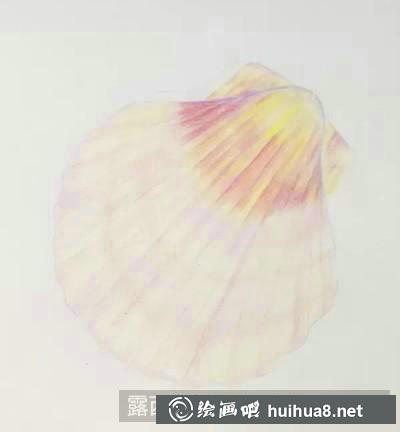 貝殼繪制步驟4
