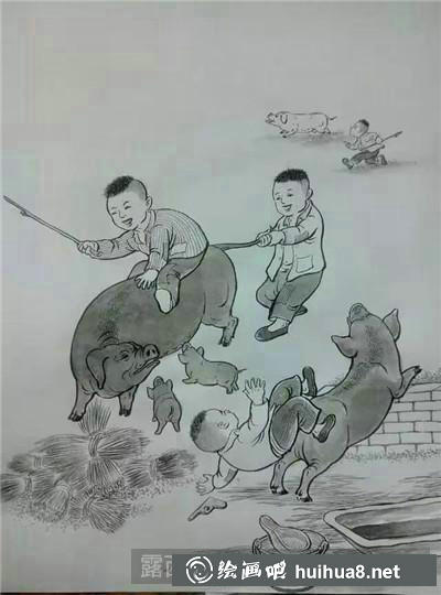 玩耍的豬