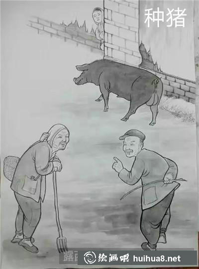 玩耍的豬