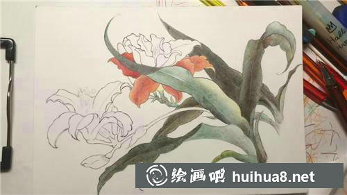 繪制花蕊