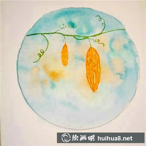 苦瓜藤色圖