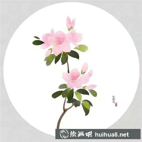 杜鵑