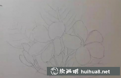 彩鉛繪雞蛋花步驟詳解
