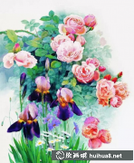 水彩月季花畫賞析