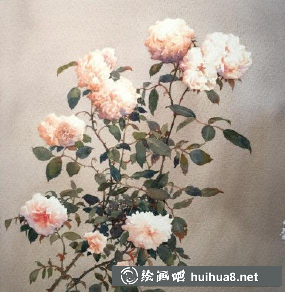 月季花水彩畫(huà)2